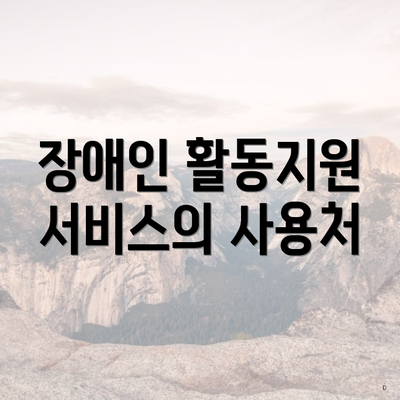 장애인 활동지원 서비스의 사용처