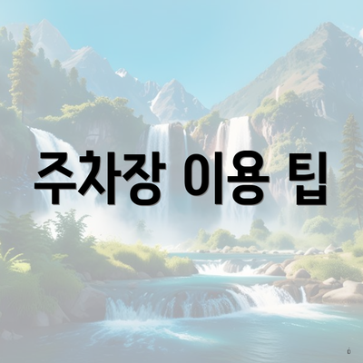 주차장 이용 팁