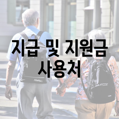 지급 및 지원금 사용처