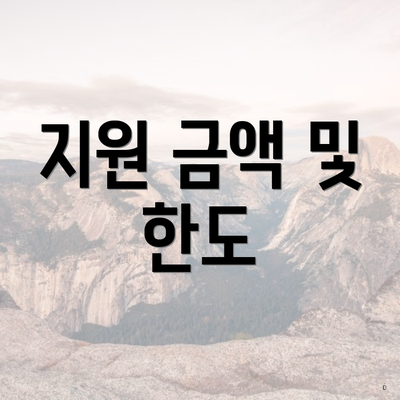지원 금액 및 한도