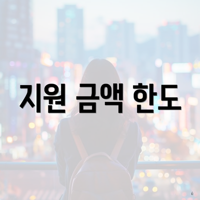 지원 금액 한도