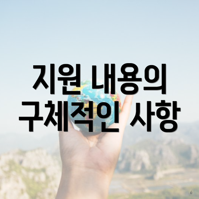 지원 내용의 구체적인 사항