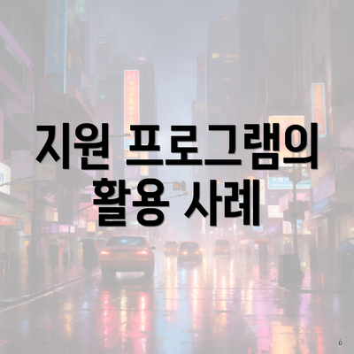 지원 프로그램의 활용 사례