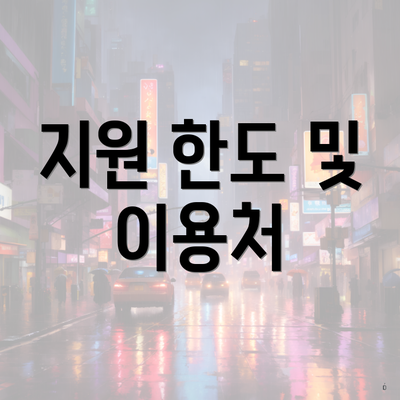 지원 한도 및 이용처
