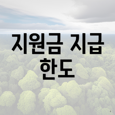 지원금 지급 한도