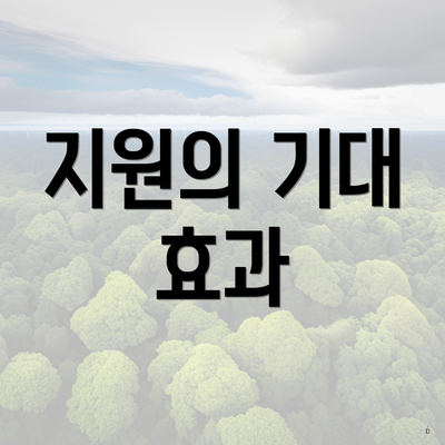 지원의 기대 효과