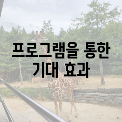 프로그램을 통한 기대 효과
