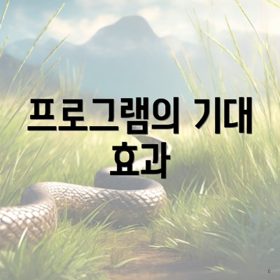 프로그램의 기대 효과