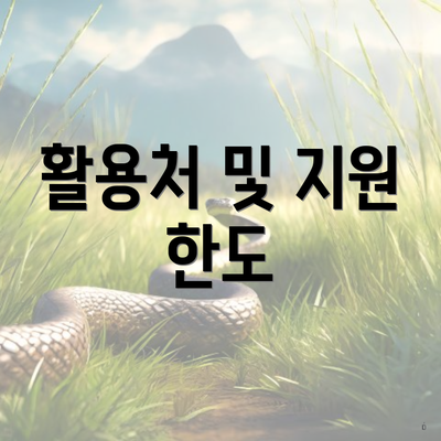 활용처 및 지원 한도