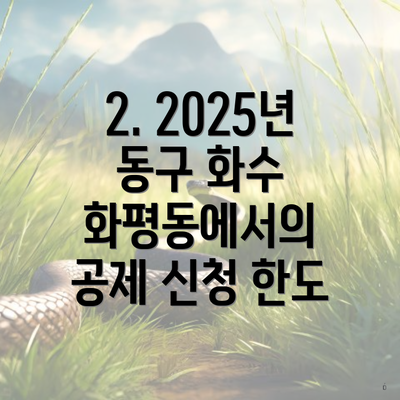 2. 2025년 동구 화수 화평동에서의 공제 신청 한도
