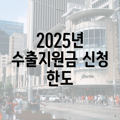 2025년 수출지원금 신청 한도