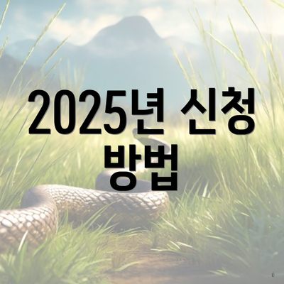 2025년 신청 방법