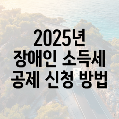 2025년 장애인 소득세 공제 신청 방법