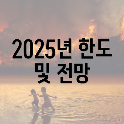 2025년 한도 및 전망