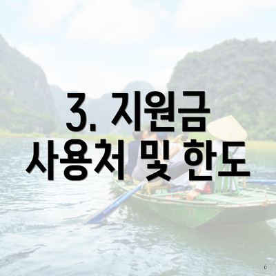 3. 지원금 사용처 및 한도