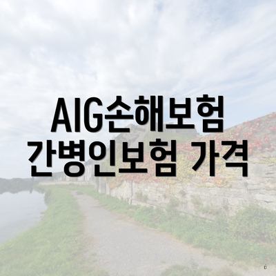 AIG손해보험 간병인보험 가격