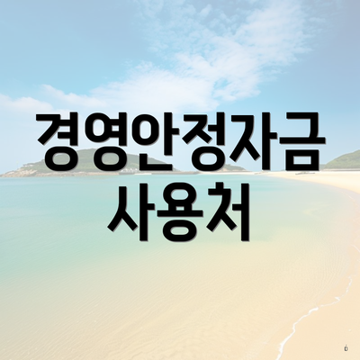 경영안정자금 사용처
