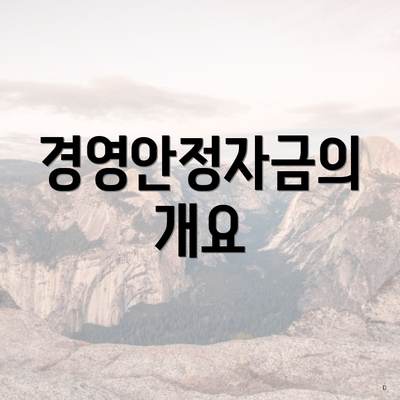 경영안정자금의 개요