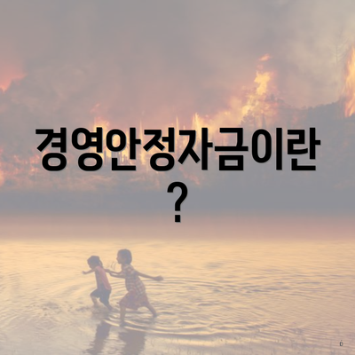 경영안정자금이란?