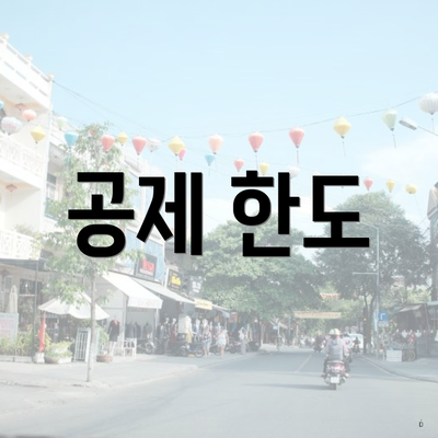 공제 한도