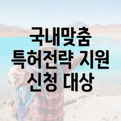 국내맞춤 특허전략 지원 신청 대상