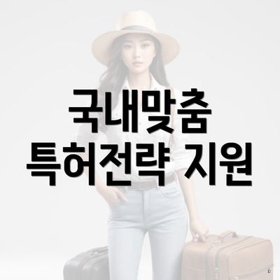 국내맞춤 특허전략 지원
