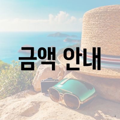 금액 안내