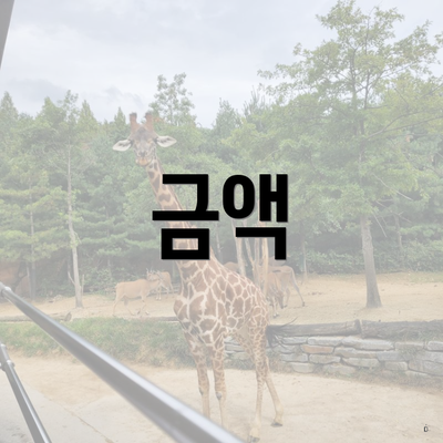 금액