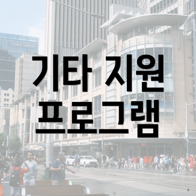 기타 지원 프로그램