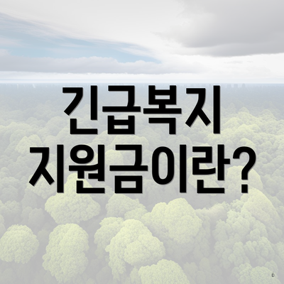 긴급복지 지원금이란?