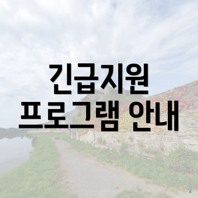 긴급지원 프로그램 안내