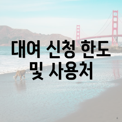 대여 신청 한도 및 사용처