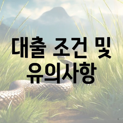 대출 조건 및 유의사항