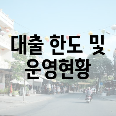 대출 한도 및 운영현황