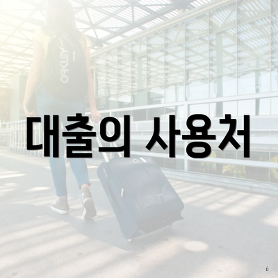 대출의 사용처