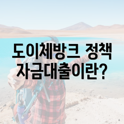 도이체방크 정책자금대출이란?