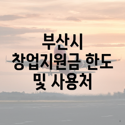 부산시 창업지원금 한도 및 사용처