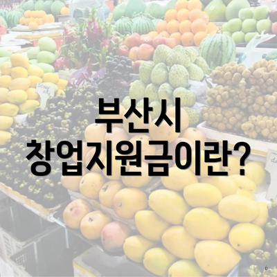 부산시 창업지원금이란?