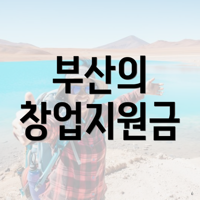 부산의 창업지원금