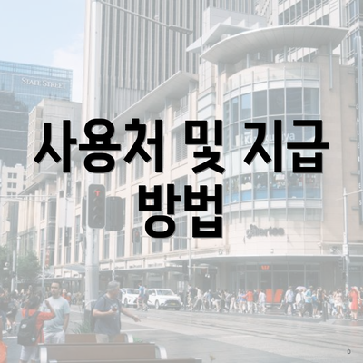 사용처 및 지급 방법