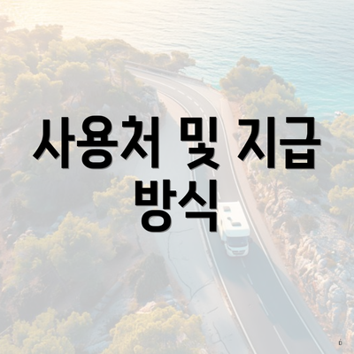 사용처 및 지급 방식