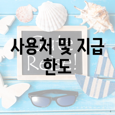 사용처 및 지급 한도