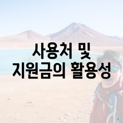 사용처 및 지원금의 활용성