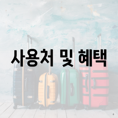 사용처 및 혜택