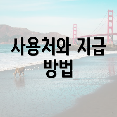 사용처와 지급 방법