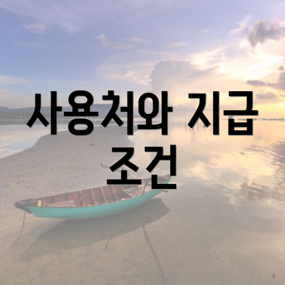 사용처와 지급 조건