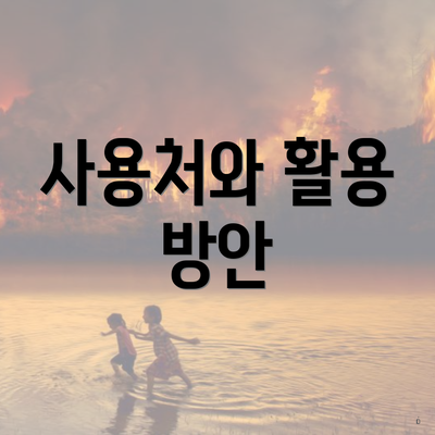 사용처와 활용 방안