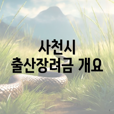 사천시 출산장려금 개요