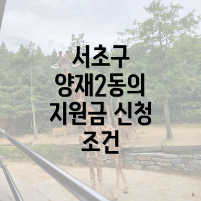 서초구 양재2동의 지원금 신청 조건