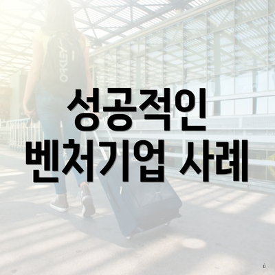성공적인 벤처기업 사례